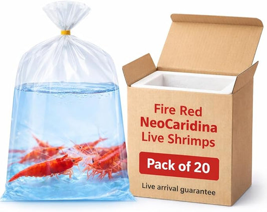 20+ High Grade Fire Red Cherry Shrimps Neocaridina Live Freshwater Shrimp Aquarium Inverts High-Grade Cherry Neocaridina Live Arrive Gurrentee