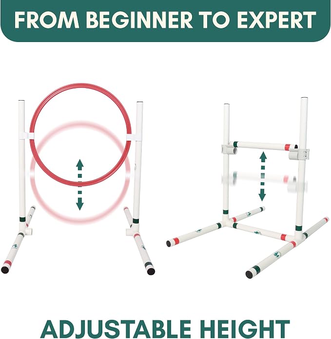 ALBERT & MIA Catgility™ Cat Agility Equipment, Hurdles, Poles, Hoop & Tunnel | Indoor obstacle course training for kittens and small dogs, jumping exercise and enrichment, clicker trainer guide included