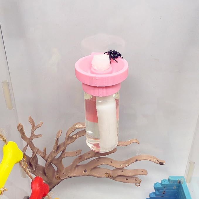 Jumping Spider Water Dispenser, Magnetic Hanging Feeder,Suitable for Jumping Spiders,Tarantulas, Praying Mantises,Arboreal Animals, and Other Small Animal Enclosure Accessories (Pink, 10ML)
