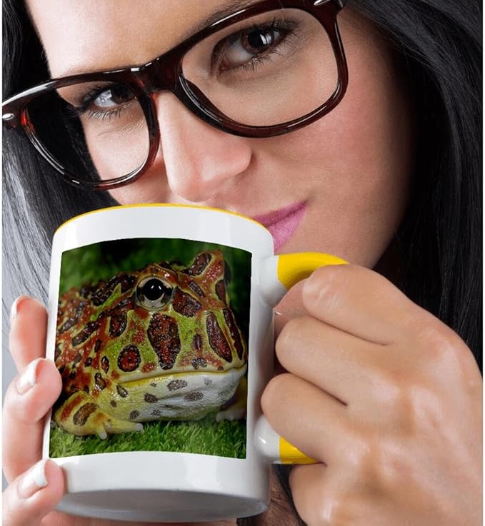 3dRose High Red Ornate Pacman Frog, Ceratophrys ornate, controlled conditions 15oz Two-Tone Yellow Mug