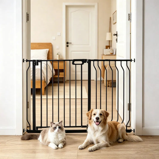 5d89f4fc8f148fd7857a3f9f3019d857