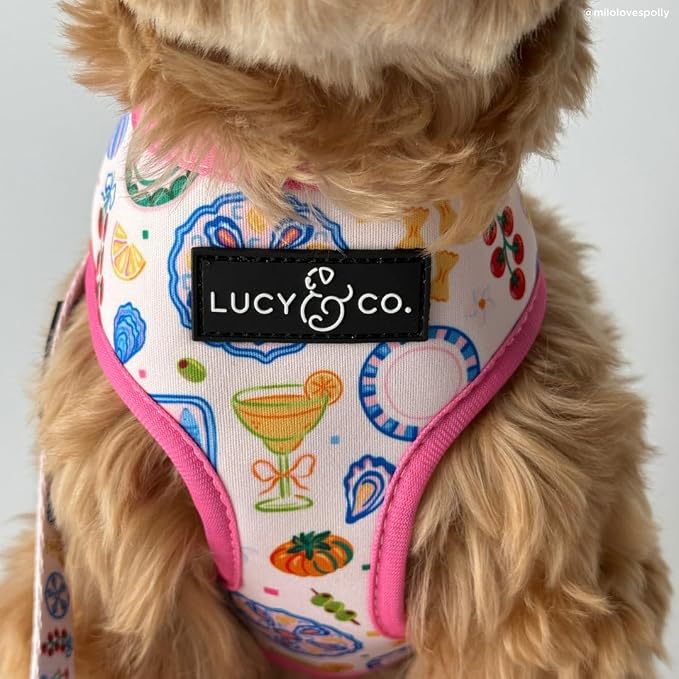 Lucy & Co. Dolce Vita Reversible Dog Harness, Adjustable Comfort Fit with Dual Leash Attachments, Large