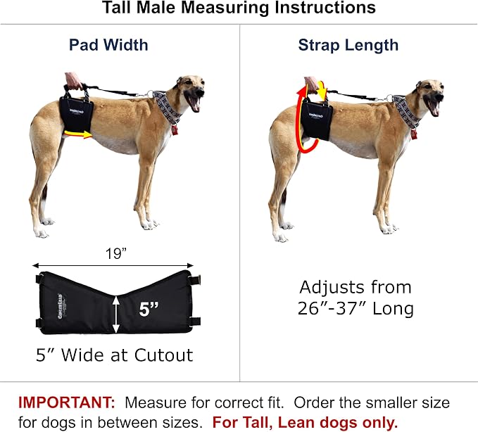 Dog Support Harness, Rear End Lift Sling, Tall Male, Made in USA | Fits Tall, Lean Dogs like Greyhounds or Great Danes, Padded Mobility Aid, Help Pets Walk or Balance, Machine Wash & Dry