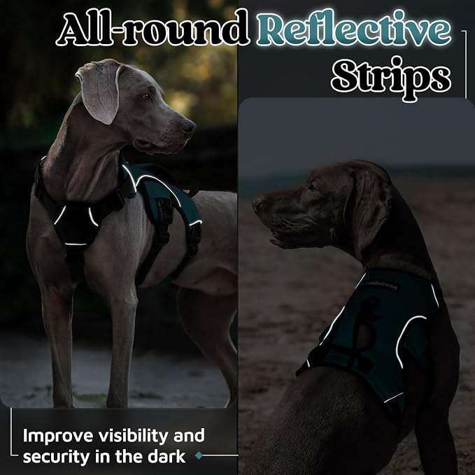 rabbitgoo Escape Proof Dog Harness for Large, No Pull with Lift Handle | No Escape, Full Soft Padded, Reflective Adjustable Vest, Leash Clip for Walking Hiking Training, Dark Green, Large