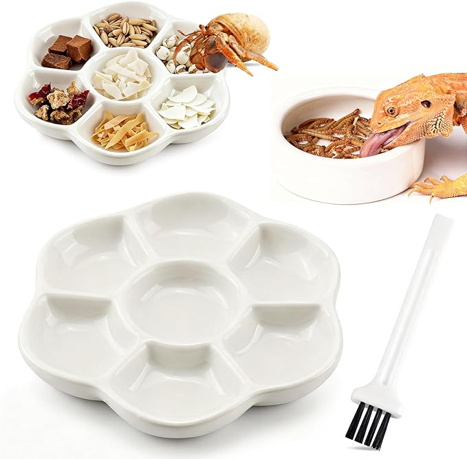 Eiito Reptile Food Bowl,Hermit Crab Lizard Gecko Ceramic Food Dish, 7 Compartments Anti-Turning Bearded Dragon Food & Water Bowl with Small Brush (White)