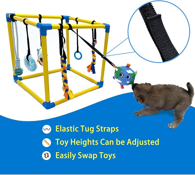 Puppy Play Gym with 8 Hanging Toys, Small Dogs Indoor Enrichment Jungle Gym | PVC Frame with Bungee Straps Playgym Activity Center,with Teething Toys,Fleece Tug Toys,Squeaky Toys,19.5*19.5*19.5in