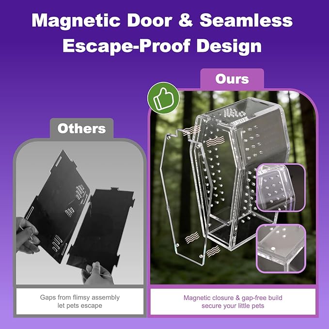 Jumping Spider Enclosure,Acrylic Magnetic Terrarium with Water Feeder and Star Hide,Terrarium Kit for Tarantulas Snails 5.9x2.6x3 Inches 6PCS(Purple)