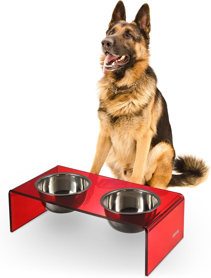 DBL2001H Keaton 7.5" Medium/Large Modern Acrylic Rectangular Elevated Pet Feeder with 54oz 2-Stainless Steel Bowls, Red/Chrome