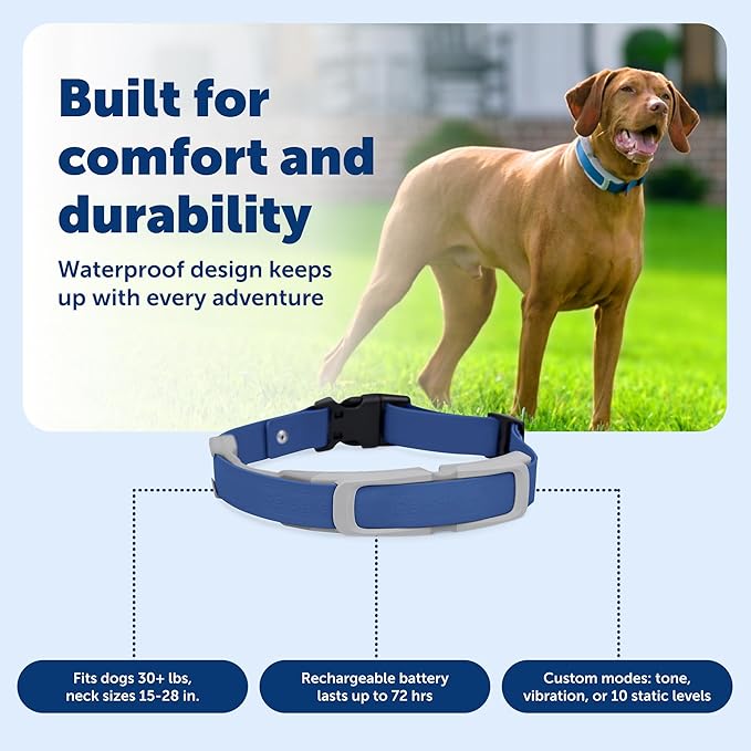PetSafe Guardian GPS Tracking Dog Fence Collar - Reliable Dog Fence - Wireless Virtual System - Waterproof Collar - Long Lasting Battery - Grey