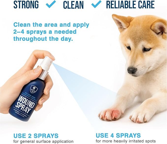 Wound Spray for Dogs, Cats & Pets, 8 Oz., Nano Silver Hot Spot Itch Relief for Irritation, Minor Wounds, Cuts & Daily Care, Alcohol & Fragrance Free No-Sting Clean Formula for Sensitive Skin