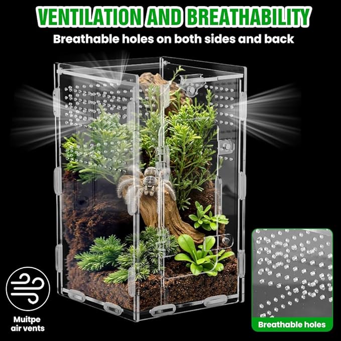 Jumping Spider Terrarium, Complete Acrylic Habitat Kit with Dual Doors, Feeding Tools for Spiders, Tarantulas, Mantis, Small Reptiles, 4.7x4.7x7.9 Inch