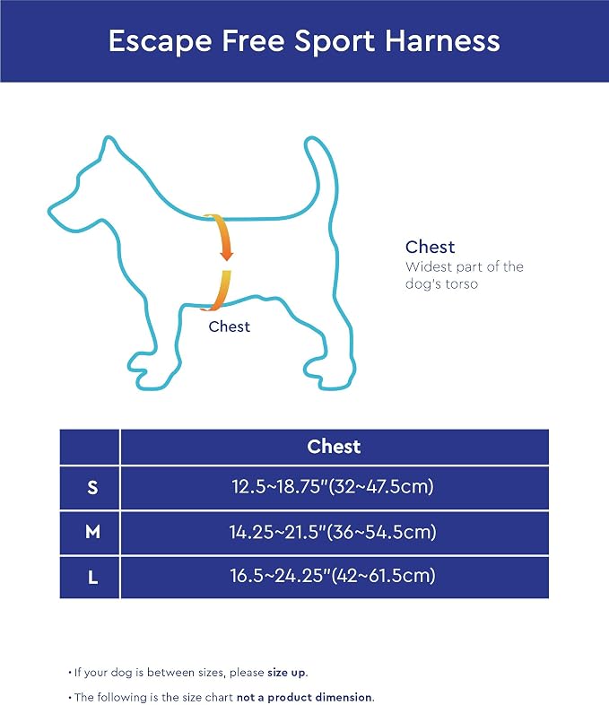Gooby Escape Free Sport Dog Harness, Choke-Free, Red, Small | Patented escape-free frame; Reduces choking; 4-point adjustment; Soft neoprene padding; Durable webbed straps
