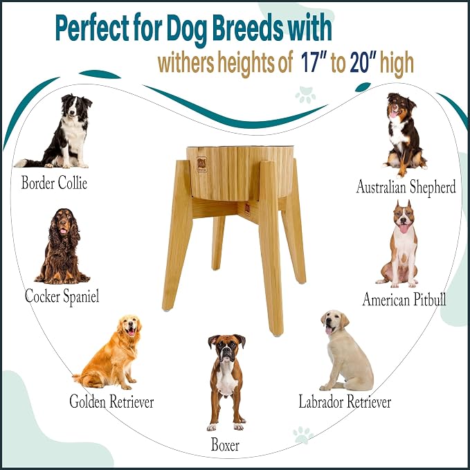 Slow Feeder Dog Bowl for Large Dogs - Elevated Food Stand, Collapsible | Raised Dog Bowl with Anti-Choking Insert, 12-Inch High, Anti-Wobble Lock, Resist Tipping - Stainless Steel, Bamboo