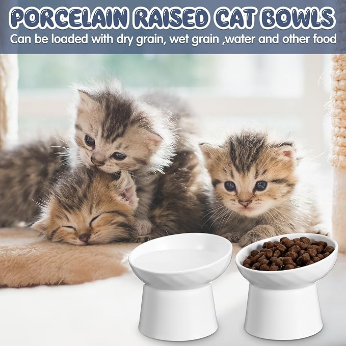 4 Pcs Ceramic Raised Cat Bowls, Elevated Tilted Cat Bowl for Food Water, Stress Free, Backflow Prevention, Dishwasher Microwave Safe, Feeder Dish for Indoor Kitten, Small Dogs(White)