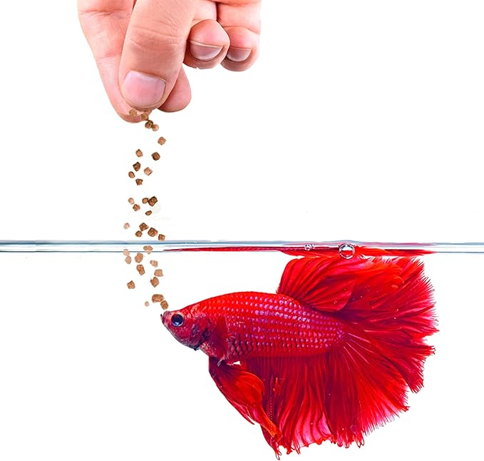 SunGrow Betta Food Pellets, 1 mm Color Enhancer Floating Feed, Balanced Diet for Happy Fish, Easily Digestible Food, Slow-Dissolving Pellets, Vegetable and Fish Formula Doesn’t Cloud Water