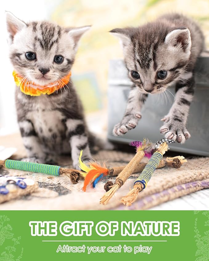TINDTOP Catnip Chew Toys for Cats, 4 Pack Natural Silvervine Sticks for Kittens Teeth Cleaning, Matatabi Dental Care, Increase Appetite, Aggressive Chewers Cat Dental Toy