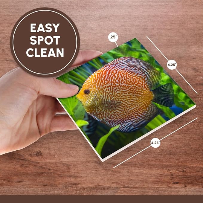 3dRose Super Pigeon Snakeskin Discus, Tropical Freshwater Fish Set of 8 Ceramic Tile Coasters