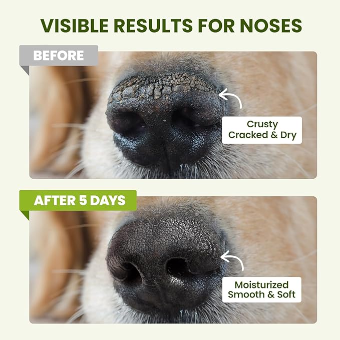 PawSono Lick-Safe Dog Paw & Nose Balm with Coconut Oil | All-Natural Moisturizer & Soother for Dry, Cracked Pads & Snout | Heat & Cold Pavement Protection Wax | Horse Hoof, Joint Care (M (1.3 oz))