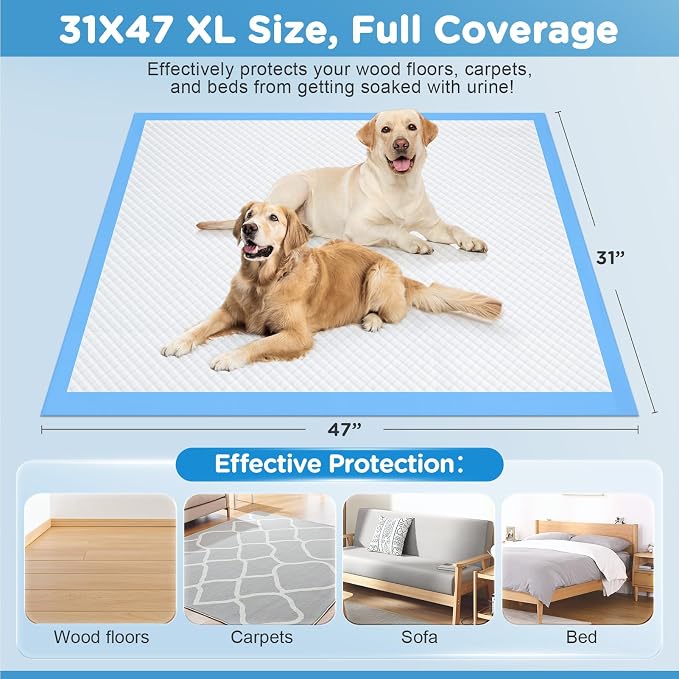 iweepet Upgraded XXXXL 31 X47 40 Counts Thicken Super Absorbent & Leak-Proof 6 Layers Puppy Pads , Disposable Potty Pads Dog Pee Pads Extra Large for Puppy, Surgery, Older, Cats, Rabbits