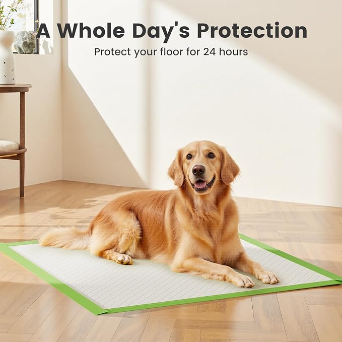 Gardner Pet Dog Pee Pads Extra Large 28"x34", XL Thicker ECO Green Disposable Puppy Training Pads Super Absorbent Full Edge-Wrapping Pad for Dogs, Puppies, Cats, Rabbits (200 Count)