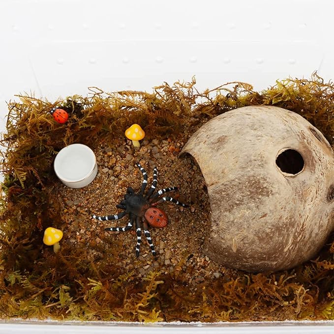 DQITJ 8 Pcs Hermit Crab Ceramic Water Bowl, Tarantula Mini Food Dish for Hermit Crab Tarantula Spider Millipede Tiny Bugs