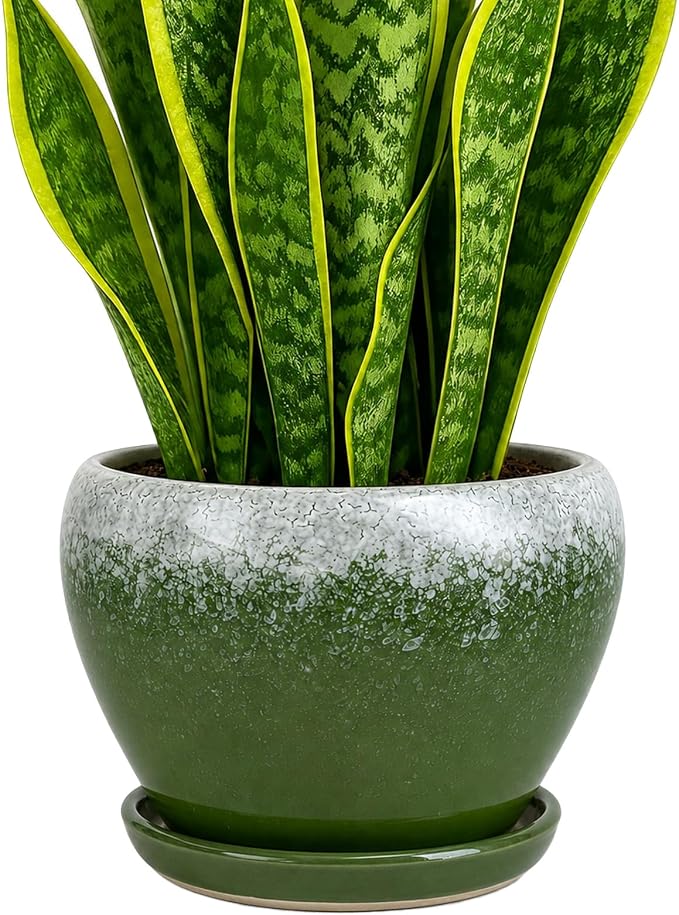 Deep Dream 8 Inch Plant Pots- Ceramic Pots for Plants with Drainage Hole and Saucer, Large Planter Pot for Indoor Plants Outdoor Decor, Blackish Green