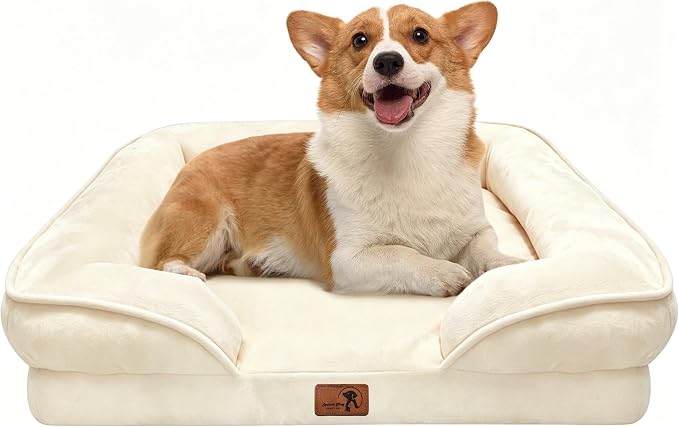 Spotted Play Orthopedic Dog Bed with Sides - Sofa Beds for Medium Dogs, Supportive Foam Pet Couch Bed with Washable Removable Cover, Waterproof Lining and Non-Slip Bottom, Ivory - M