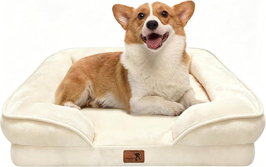 Spotted Play Orthopedic Dog Bed with Sides - Sofa Beds for Medium Dogs, Supportive Foam Pet Couch Bed with Washable Removable Cover, Waterproof Lining and Non-Slip Bottom, Ivory - M