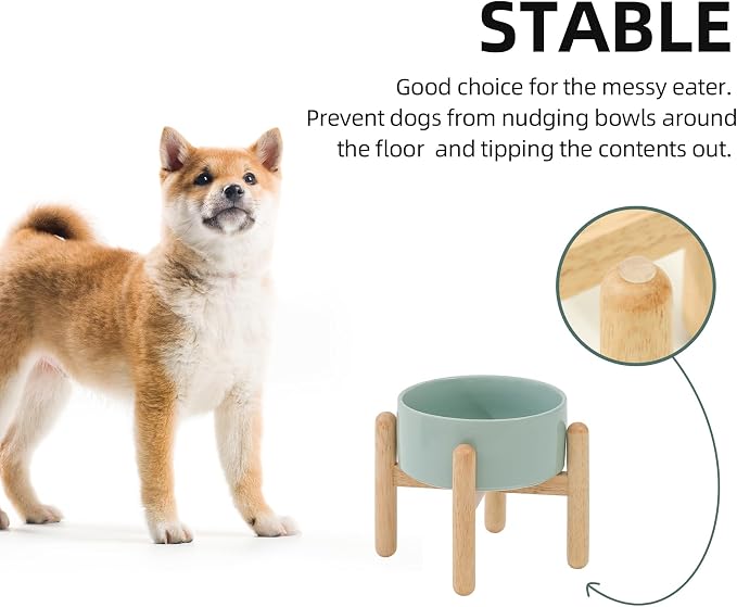 Havniva Elevated Dog Bowls Ceramic Dog Bowls with Stand, Dog Food Bowl | 6.1” Raised Dog Bowls with Non-Slip Wood Stand, Dog Food and Water Bowl Set, Dog Feeding Bowls for Small & Medium Dogs