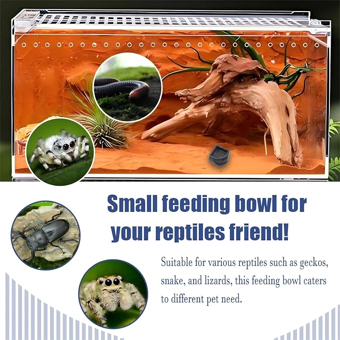 9 Pack Mini Resin Water Bowls - Micro Food/Water Dish for Tarantula, Spider, Millipede, Hermit Crab, Reptiles & Water Bowl(0.39" H)