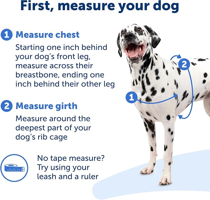 PetSafe Easy Walk Harness for Dogs - Pull-Free Walks - Patented Martingale Loop Design - Front Chest Leash Attachment - Comfort Straps - Breathable Harness Design - Medium, Charcoal/Black (Pack of 3)