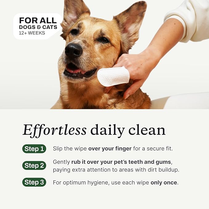 PetLab Co. Dental Finger Wipes - Easy to Use Dog & Cat Teeth Cleaner - Freshens Breath & Provides A Thorough Clean – Supports Overall Oral Hygiene – Alcohol & Fragrance Free - Packaging May Vary