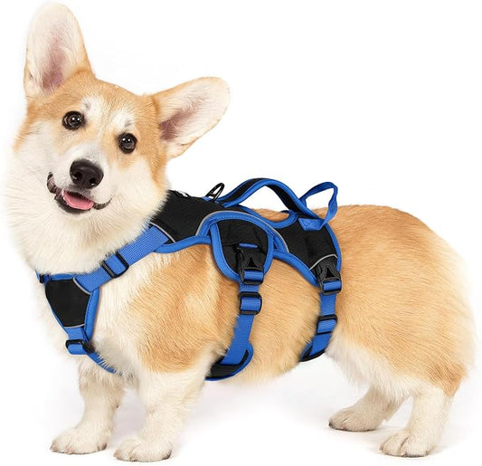 rabbitgoo Escape Proof Dog Harness for Small, No Pull with Lift Handle | No Escape, Full Soft Padded, Reflective Adjustable Vest, Leash Clip for Walking Hiking Training, Blue & Black, Small