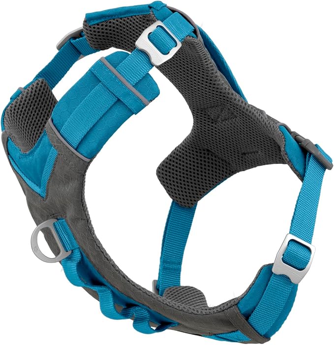 Kurgo Journey Air Dog Harness, Blue, Large | Padded Chest, Ripstop Outer & Breathable Mesh, Back Assist Handle, Rust-Free Aluminum Hardware, Reflective Trim