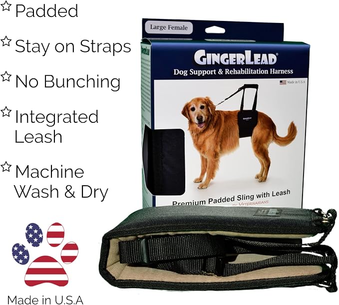 Dog Support Sling Rear Harness, Large Female, Machine Wash & Dry | Padded Rear Lift, Integrated Leash, Assist Senior K9s or Recovery from Knee/TPLO, Hip or Back Surgery, Made in U.S.A.