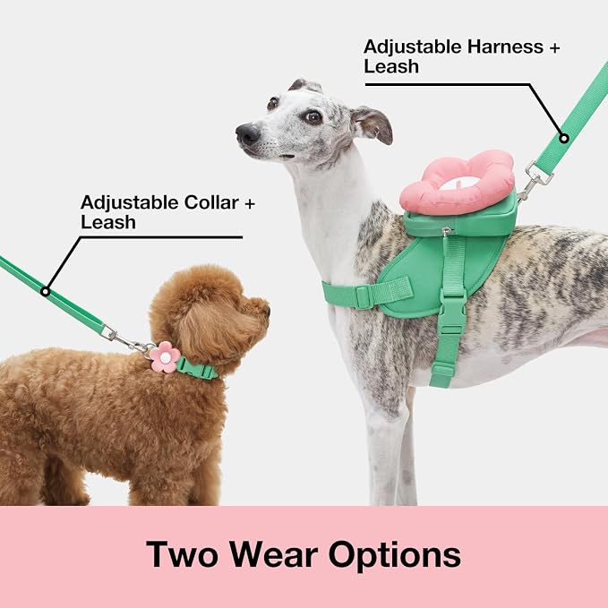 VETRESKA Flora Dog Harness, Leash and Collar Set, No Pull Vest Harness, M | for Walking and Training, Adjustable, Easy Control and Soft Padded Pet Harness and Backpack for Small Medium Large Dogs