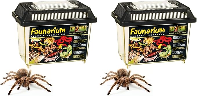 Exo Terra Faunarium Small PT2255 – Plastic Reptile Terrarium and Transport Container for Lizards,Spiders & Amphibians,(Pack of 2)