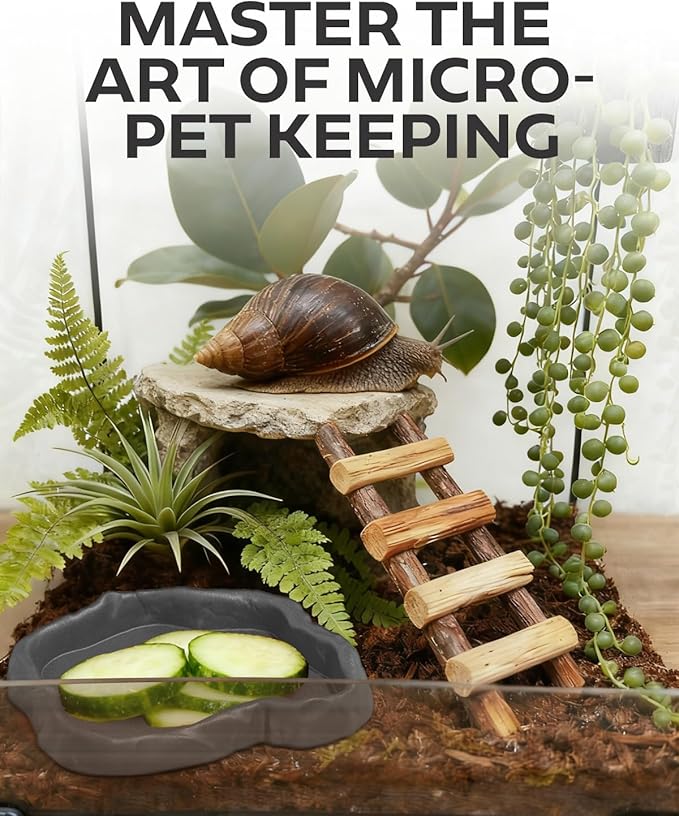 4Pcs Snail Food and Water Bowl, Reptile Water Dish and Food Bowl, Natural Design Terrarium Feeding Dish for Garden Snails, Hermit Crab, Lizard, Frog, Gecko (Black, Green)