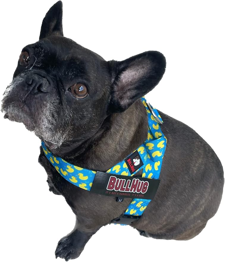 Adjustable Dog Harness– No Pull, No Choke – for English Bulldogs, French Bulldogs, Pugs & Broad-Chested Breeds – Easy, Safe Walks (Sky-Duck, Medium)
