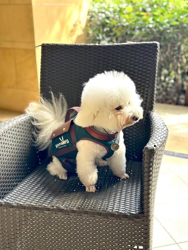 Wakytu Dog Lift Harness Dog Carrier Sling for Small Dogs & Cats,XS | stylish puppy sling carrier with handle & pocket,adjustable leash,walking & travel