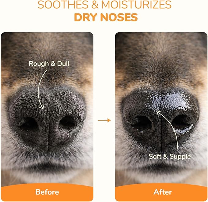 Lick-Safe Dog Paw & Nose Balm | 2.1 oz All Natural Wax with Coconut Oil & Shea Butter | Winter Snow, Road Salt & Hot Pavement Protector | Moisturizer for Dry, Rough Pads & Snouts