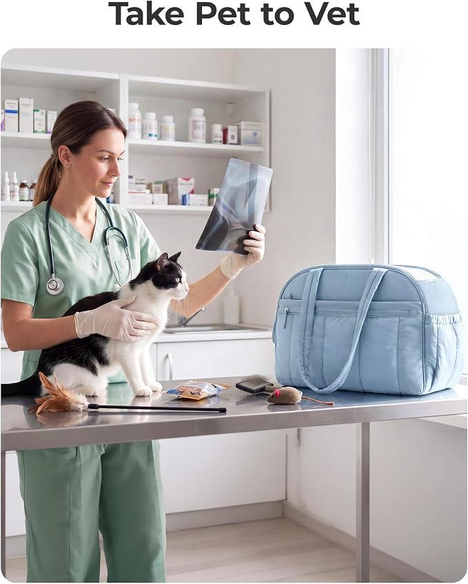 BAGSMART Dog Purse Carrier for Small Dogs Up to 13lbs Puppy Travel Tote Bag | Quilted Puffy Soft Sided Pet Handbag with Pockets, Collapsible Lightweight Portable Carrying with Safety Tether & Mat, Blue