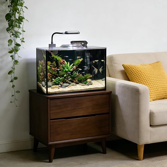 Rise Torrent Glass Fish Tank, 1.78 Gallon Betta Fish Tank Aquarium Starter Kit with Filter and Light, Small Desktop Aquarium Kit for Betta, Goldfish, Small Fish or shrimg