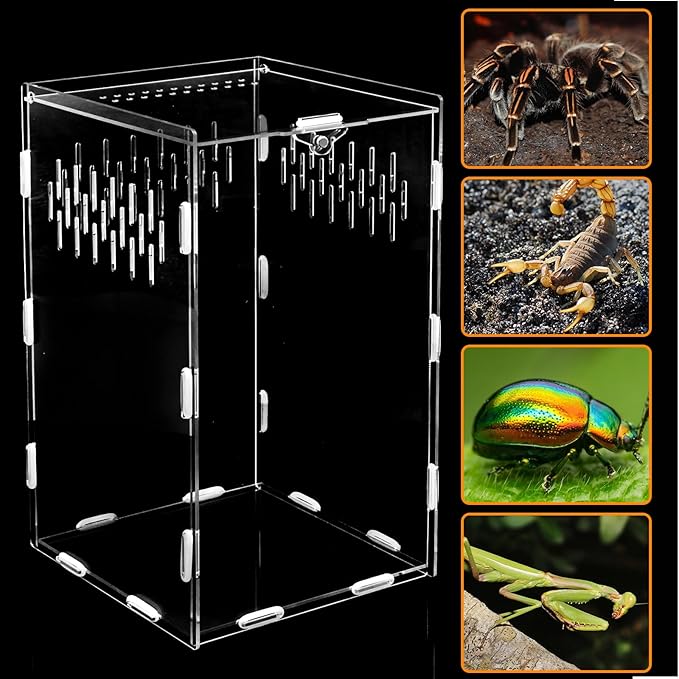 Jumping Spider Enclosure, 10x6x6 Inch Acrylic Reptile Enclosure with Front Door, Large Insect Terrarium Habitat for Jumping Spiders, Praying Mantis, Arboreal Tarantulas