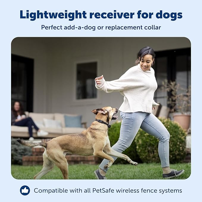 PetSafe Stay & Play Wireless Fence Receive Collar - Rechargeable and Waterproof Receiver Collar with Quick Charge in 2-3 Hours - for Dogs 5lb+