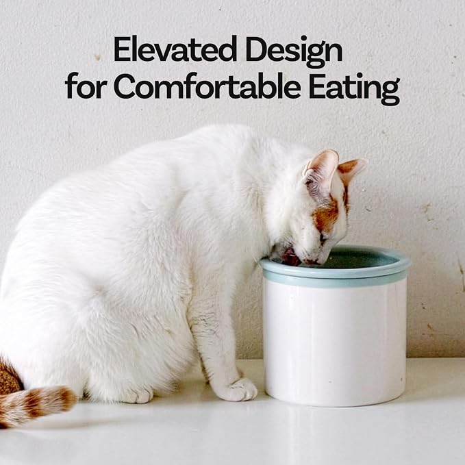 Hello Bowl Elevated Ceramic Cat Bowl with Stand, Raised Whisker-Friendly Feeding Bowl for Cats & Small Dogs, Patented Design, Made in Korea (3.9" H - Gray, Square/Dry)