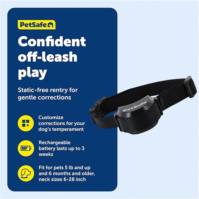 PetSafe Stay & Play Wireless Fence Receive Collar - Rechargeable and Waterproof Receiver Collar with Quick Charge in 2-3 Hours - for Dogs 5lb+