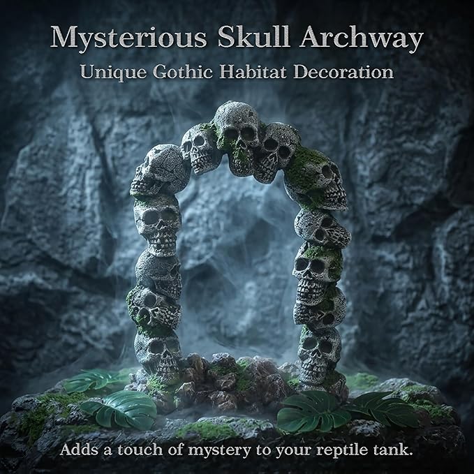 relaqcc Aquarium Skull Cave Rocks, Reptile Tank Accessories, Fish Tank Decorations for Amphibians, Betta Fish, Shrimp, Hermit Crab, Leopard Gecko