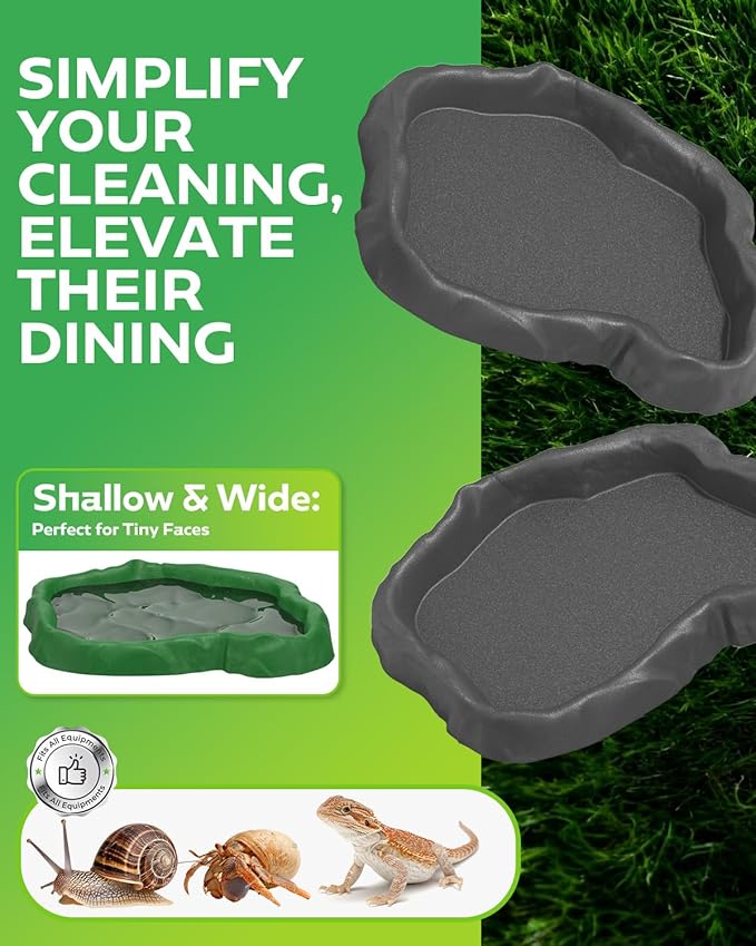 4Pcs Snail Food and Water Bowl, Reptile Water Dish and Food Bowl, Natural Design Terrarium Feeding Dish for Garden Snails, Hermit Crab, Lizard, Frog, Gecko (Black, Green)