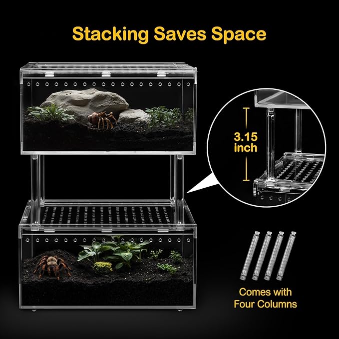 Small Reptile Terrarium Kit,Escape Proof Tarantula Enclosure,PC Starter Hermit Crab Tank,Spider Habitat for Praying Mantis Cage,Frog Vivarium,Insect House,Jumping Spider Cribs,Lizard Container